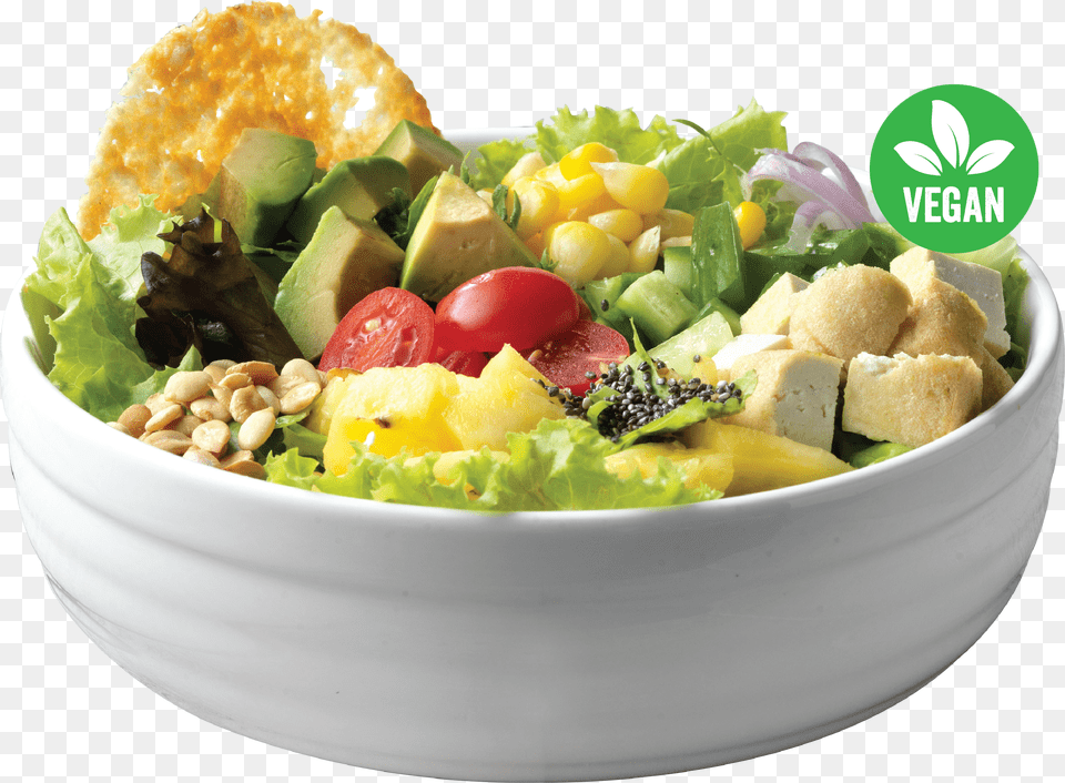 Fish Bowl Salad Bowl Free Png Download