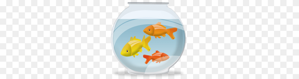 Fish Bowl With Fish, Animal, Sea Life, Goldfish, Plate Free Png Download