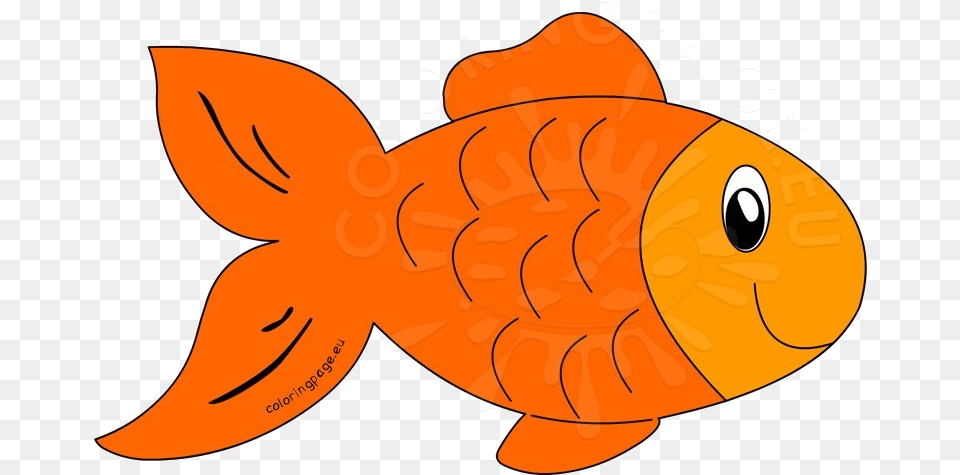 Fish Cartoon Clipart At Getdrawings For Personal Fish Clipart, Animal, Sea Life, Goldfish, Shark Free Png Download