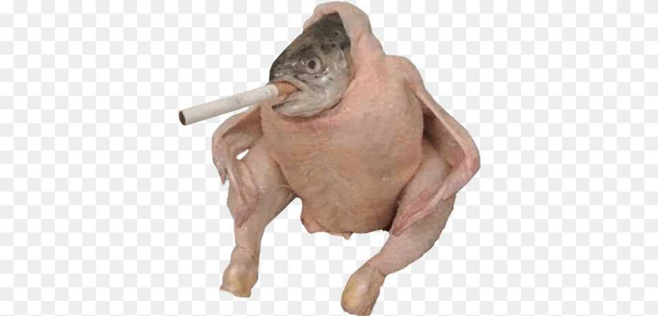 Fish Chicken Smoking A Cigarette Chicken Fish Smoking A Cigarette, Baby, Person, Animal Free Png