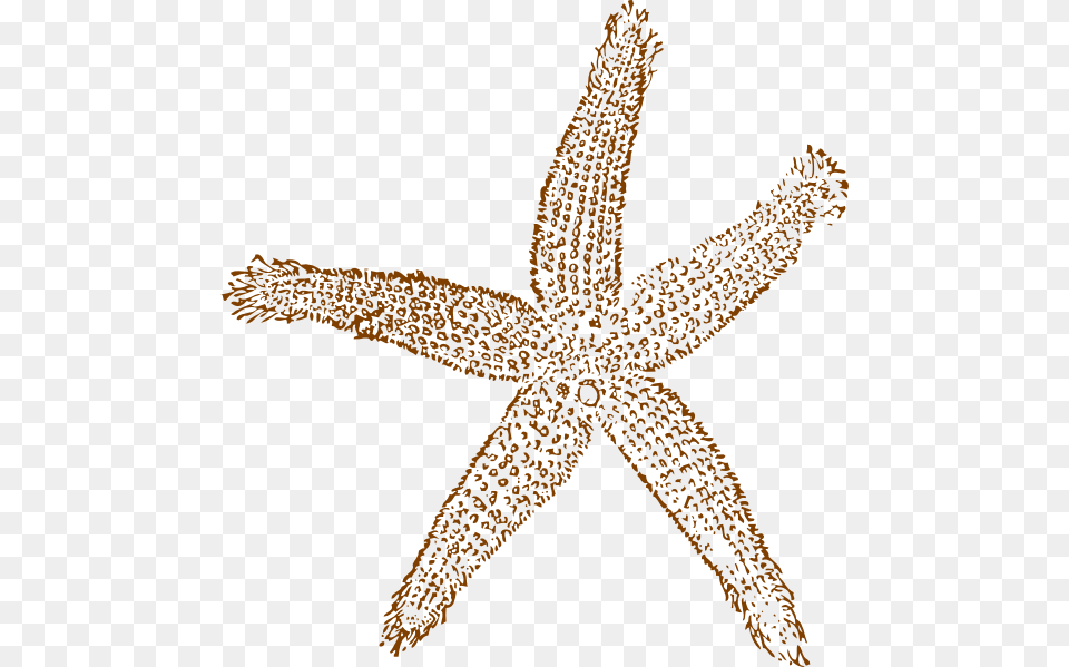 Fish Clip Art, Animal, Sea Life, Invertebrate, Starfish Png