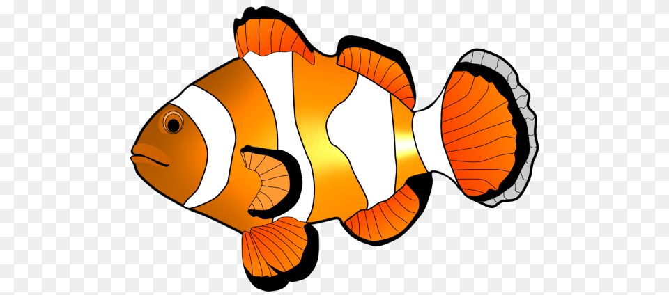 Fish Clip Art, Amphiprion, Animal, Sea Life, Baby Free Png Download