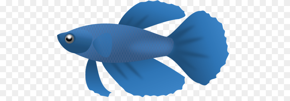 Fish Clip Art, Animal, Sea Life, Shark Free Transparent Png