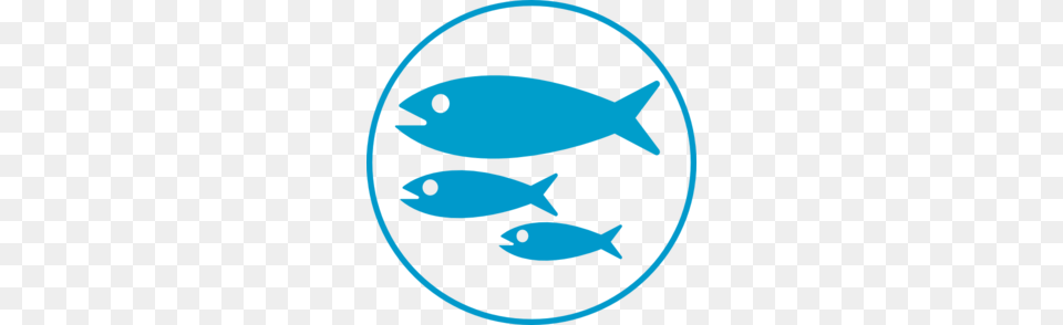 Fish Clip Art, Animal, Sea Life, Tuna, Herring Free Transparent Png