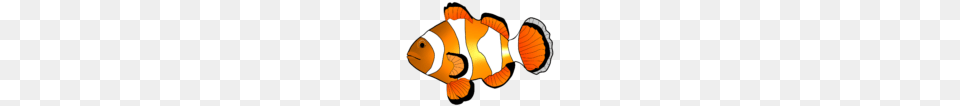 Fish Clip Art Image M Pictures, Amphiprion, Animal, Sea Life, Smoke Pipe Png