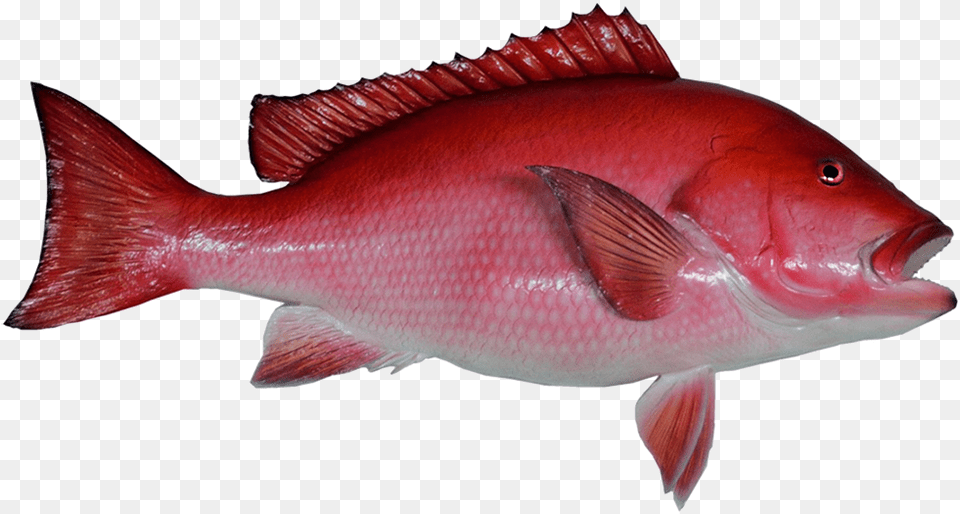 Fish Clip Art Red Snapper Transparent Background, Animal, Sea Life, Food, Mullet Fish Png Image