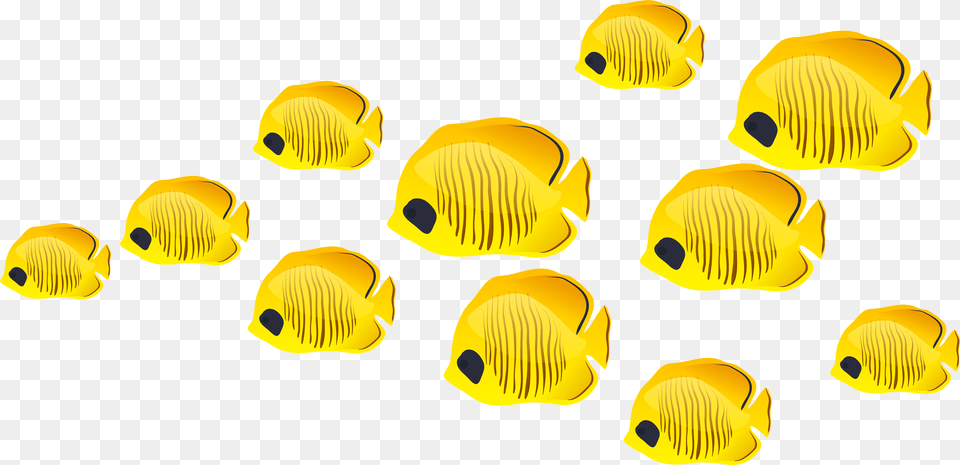 Fish Clip Art Transparent Background Fishes Clipart, Animal, Sea Life, Angelfish, Rock Beauty Free Png