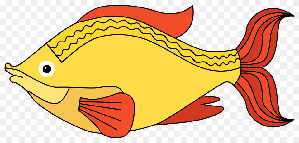 Fish Clipart, Animal, Sea Life, Shark Free Png