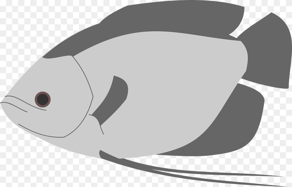 Fish Clipart, Animal, Sea Life, Shark, Surgeonfish Free Transparent Png