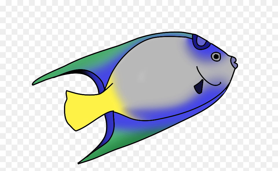 Fish Clipart, Animal, Sea Life, Surgeonfish, Shark Png Image