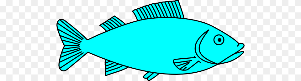 Fish Clipart, Animal, Sea Life, Tuna, Bonito Free Transparent Png