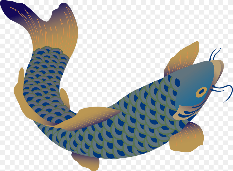 Fish Clipart, Animal, Carp, Koi, Sea Life Free Png