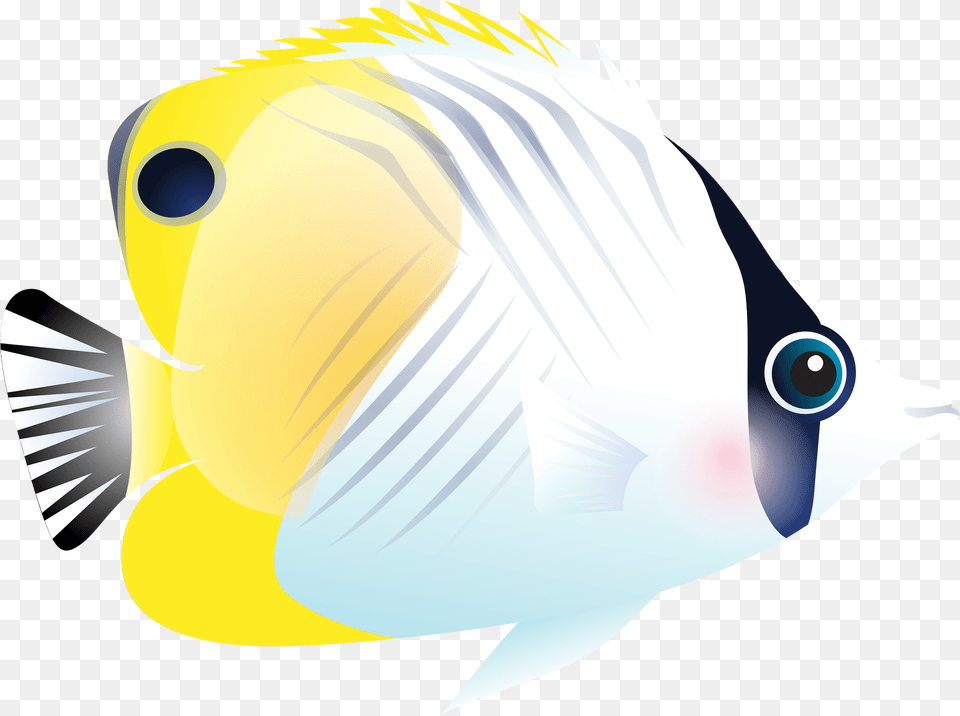 Fish Clipart, Angelfish, Animal, Sea Life, Shark Free Png