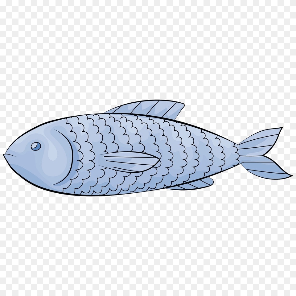 Fish Clipart, Animal, Food, Mullet Fish, Sea Life Png Image