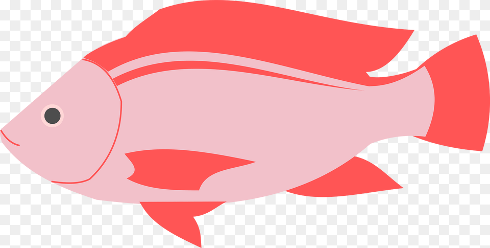 Fish Clipart, Animal, Sea Life, Shark Png Image