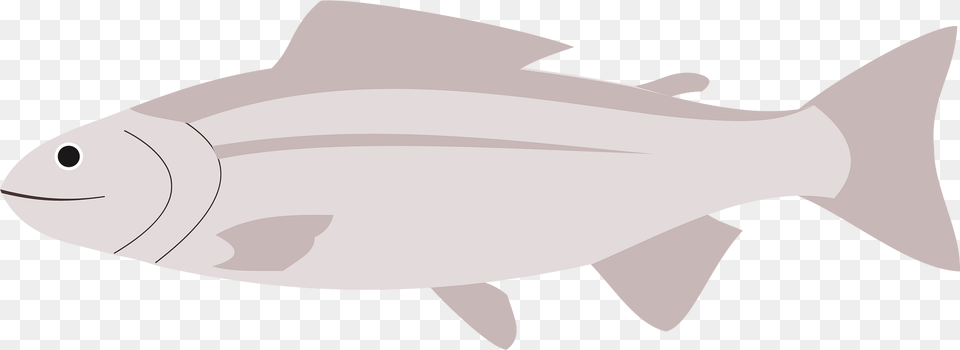 Fish Clipart, Animal, Sea Life, Shark, Tuna Free Png Download