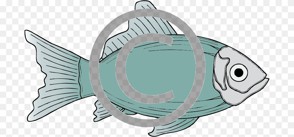 Fish Clipart, Animal, Sea Life, Tuna, Bonito Free Transparent Png