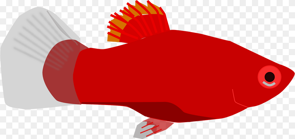 Fish Clipart, Animal, Sea Life Free Png