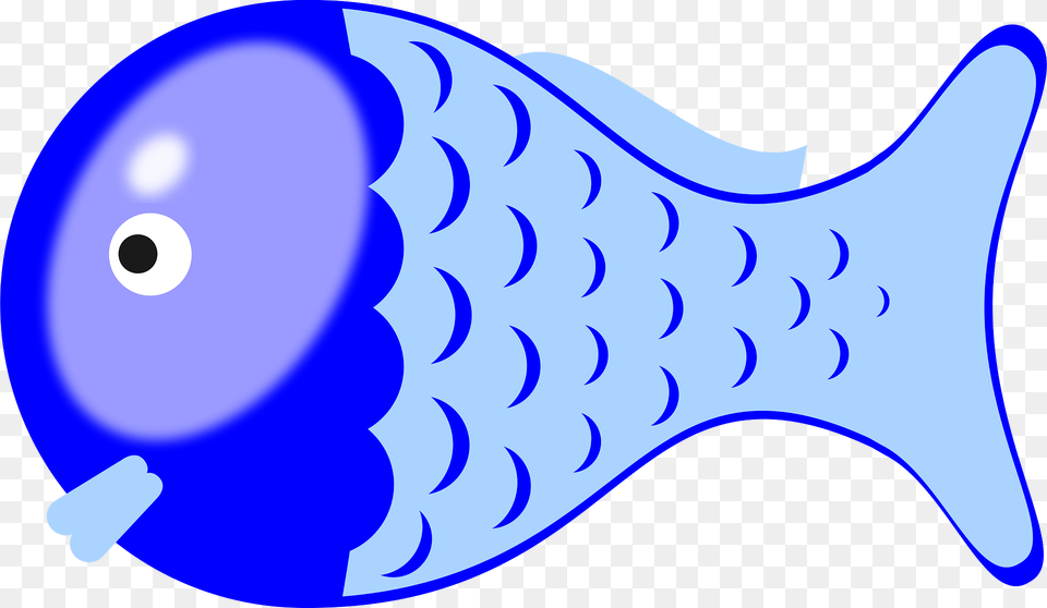 Fish Clipart, Animal, Sea Life Png Image