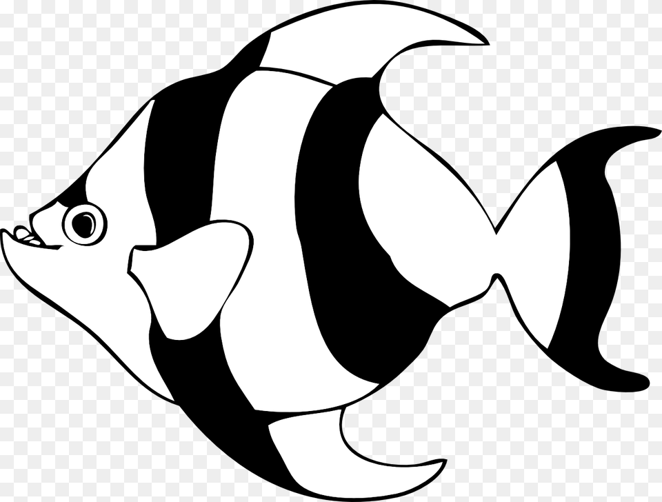 Fish Clipart Black And White, Animal, Sea Life, Angelfish, Shark Png Image