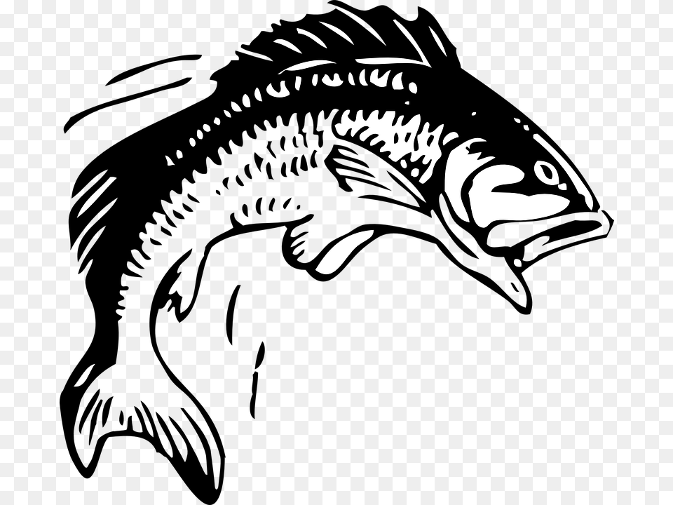 Fish Clipart Black And White, Animal, Iguana, Lizard, Reptile Free Png