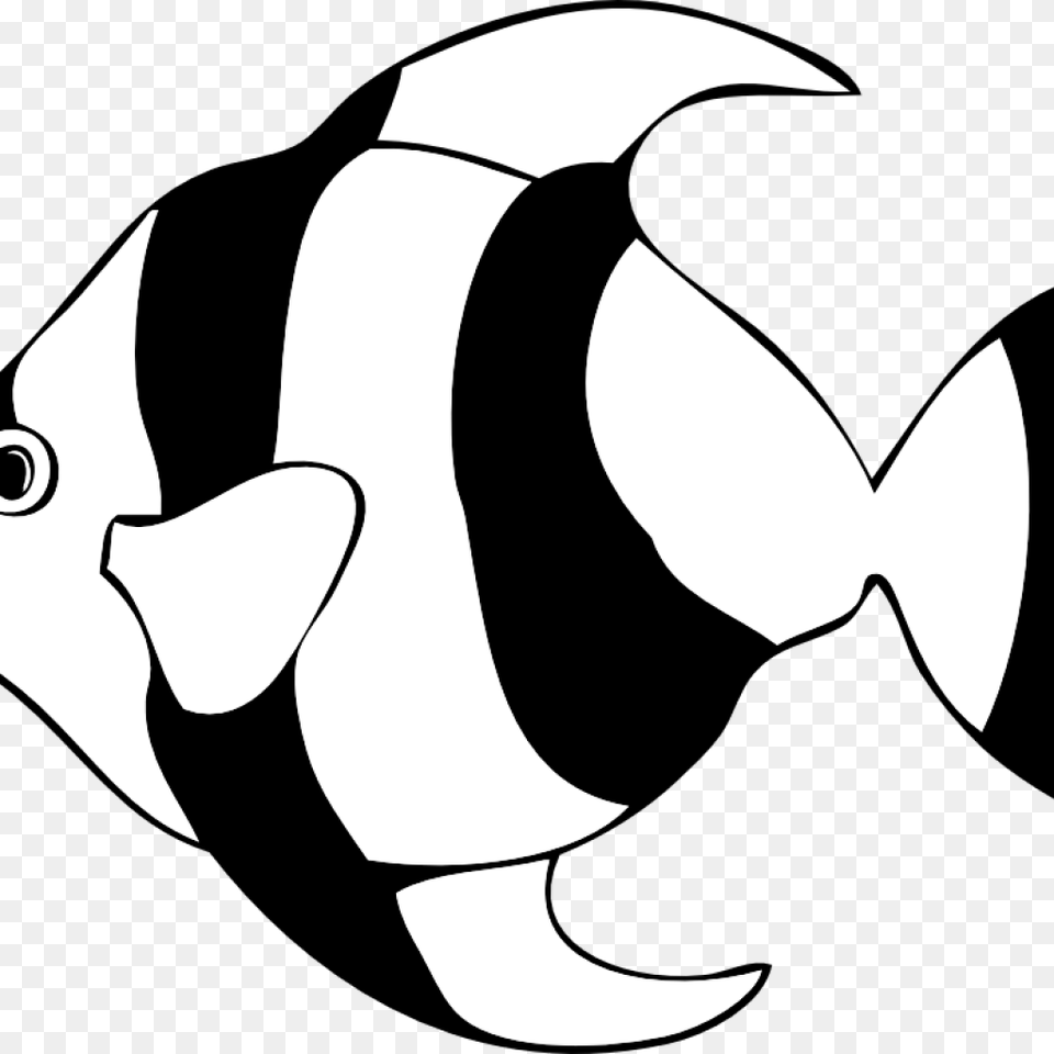 Fish Clipart Black And White Pineapple Clipart, Stencil, Animal, Sea Life, Shark Free Png