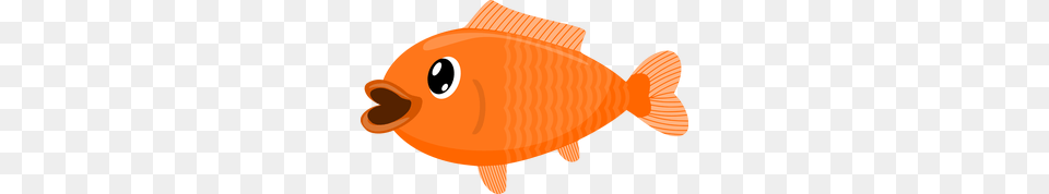Fish Clipart Clipart, Animal, Sea Life, Goldfish, Baby Free Transparent Png