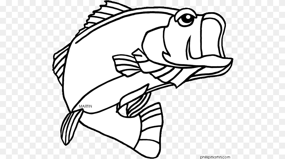 Fish Clipart Color Vector Black And White Bass Fish Largemouth Bass Florida State Fish, Aquatic, Water, Baby, Person Free Png