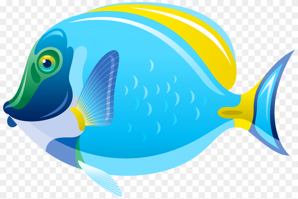 Fish Clipart No Background Stock Fish Clip Art Transparent Background Fish Clipart, Animal, Sea Life, Surgeonfish, Shark Free Png