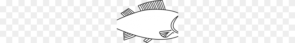 Fish Clipart Outline Easy Long Fish Drawings Fish Outline Clip, Animal, Sea Life, Tuna, Bonito Free Transparent Png