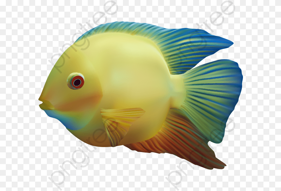 Fish Clipart The Underwater Clipart Transparent Background Fish, Animal, Sea Life Png Image
