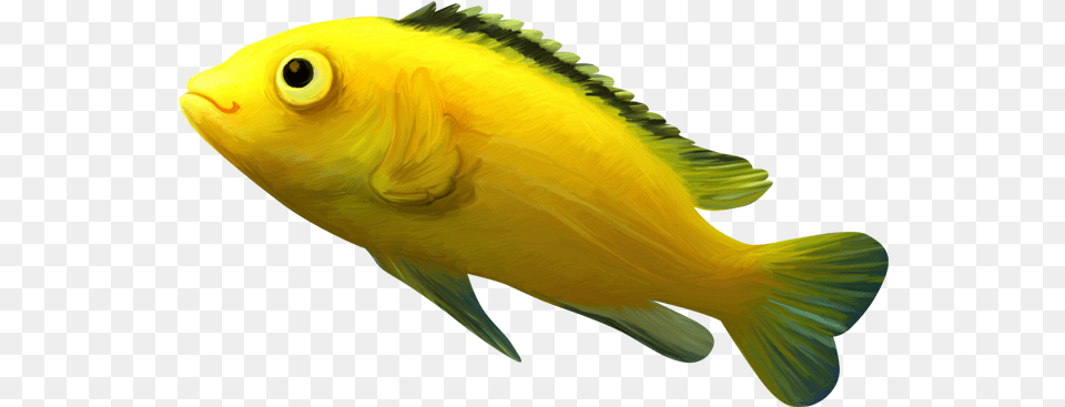 Fish Clipart Transparent Animal, Sea Life Free Png Download