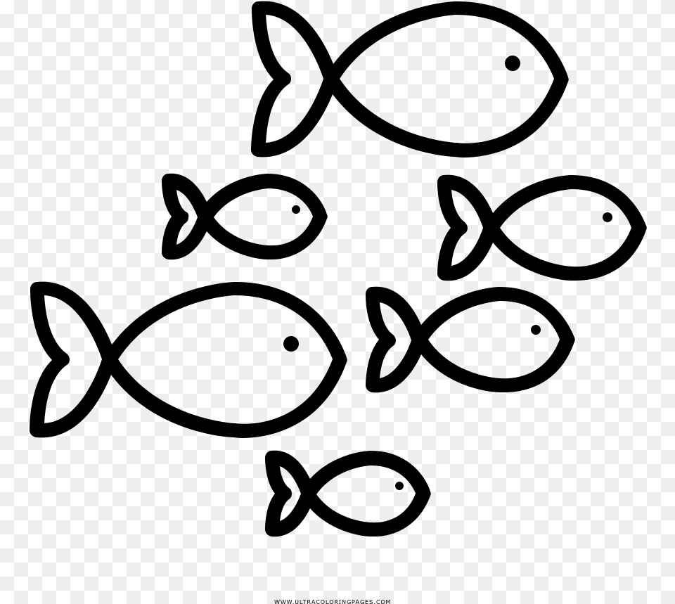 Fish Coloring, Gray Png Image