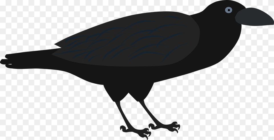 Fish Crow, Animal, Bird, Blackbird Free Png Download