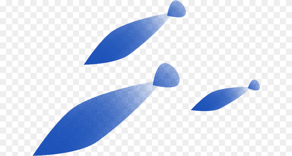 Fish Design Fin, Animal, Beluga Whale, Mammal, Sea Life Png Image