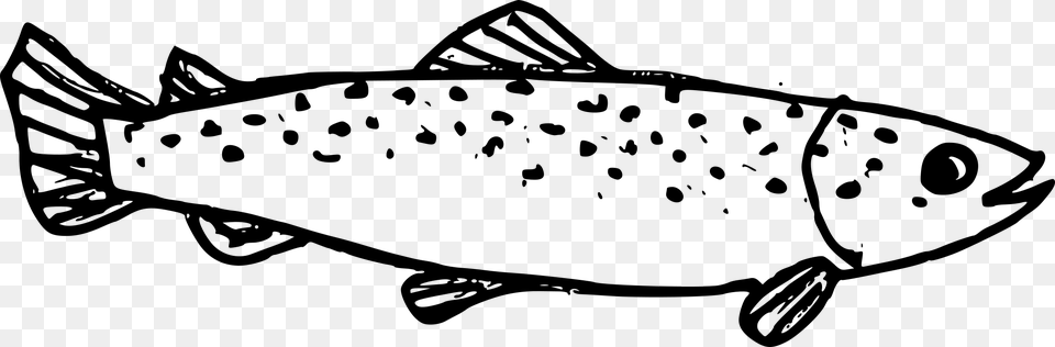 Fish Drawing, Gray Free Png