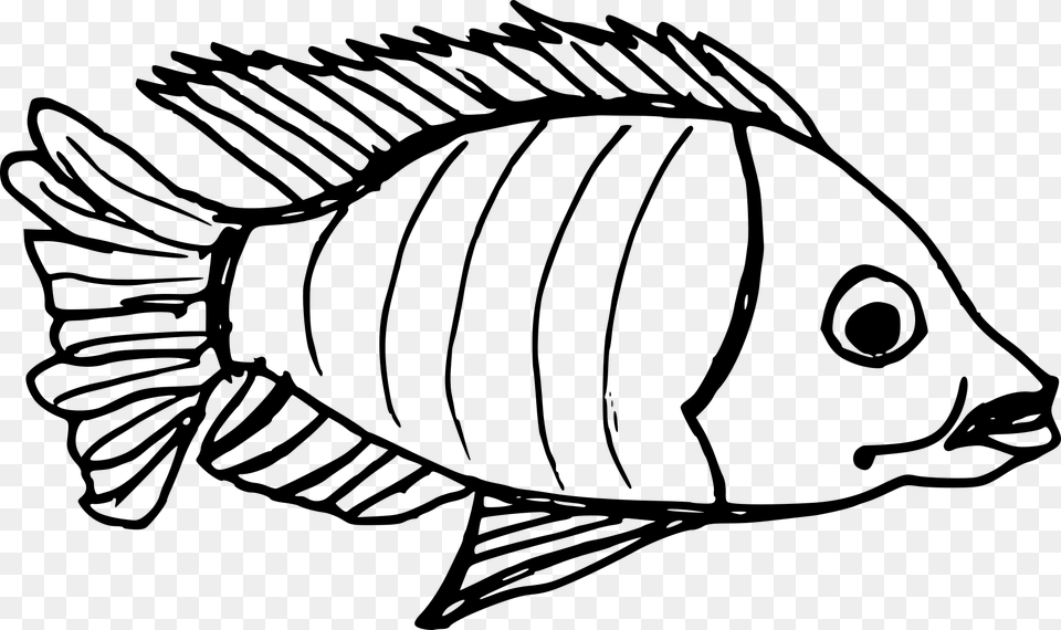 Fish Drawing, Gray Free Png Download