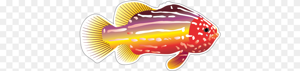 Fish Drawing Clip Art Transparent Background Fish Swimming Gif, Animal, Sea Life Png