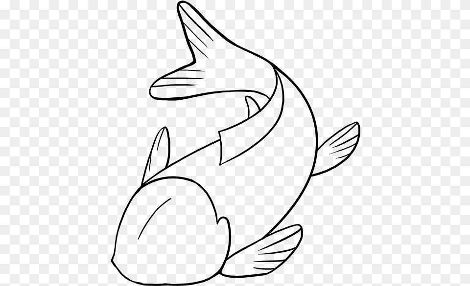Fish Drawing Pictures Koi Fish Easy To Draw, Gray Free Transparent Png