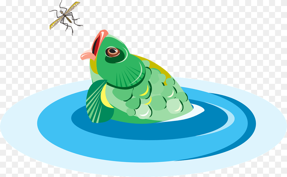 Fish Eating Bug Clipart, Green, Animal, Insect, Invertebrate Png Image
