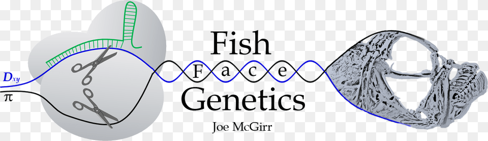 Fish Face Genetics Genetics, Scissors, Accessories, Bracelet, Jewelry Png