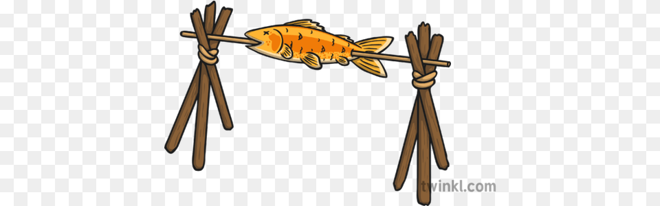 Fish Fish, Animal, Sea Life, Knot Png