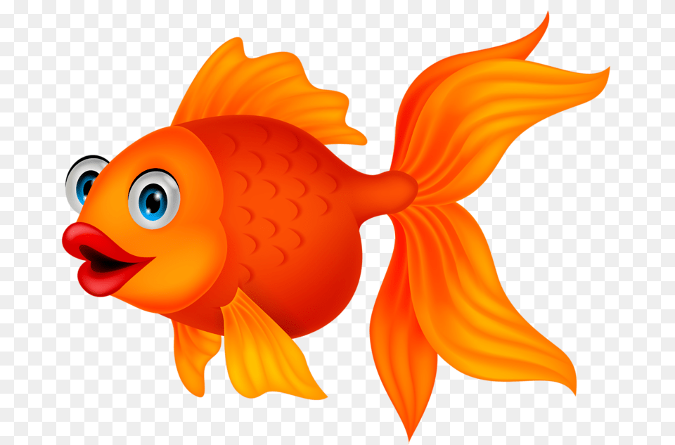 Fish Fish Clipart, Animal, Sea Life, Goldfish, Baby Png Image