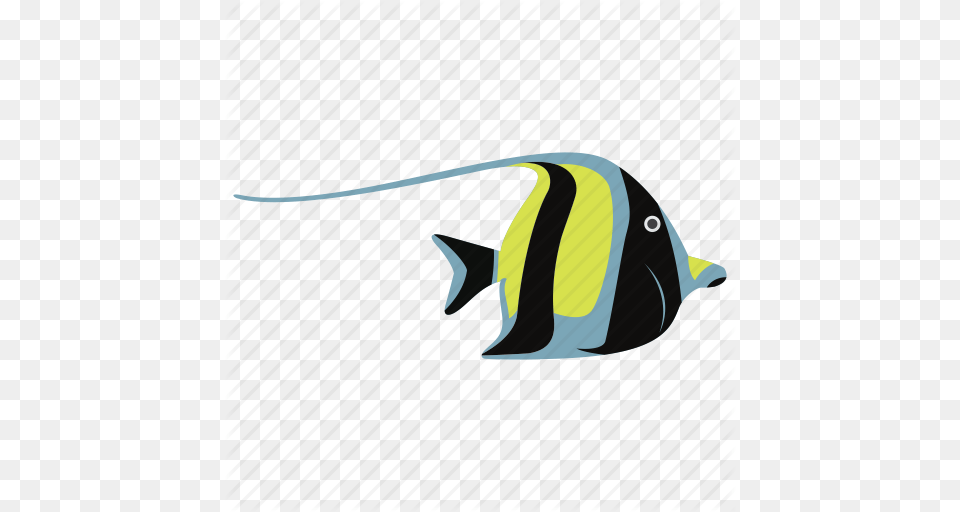 Fish Fish Icon Fish Vector Koi Koi Fish Ocean Sea Tropical, Angelfish, Animal, Sea Life Free Transparent Png