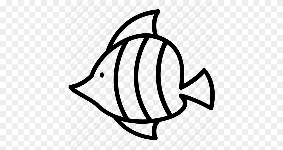 Fish Flat Body Fish Reef Fish Teardrop Fish Tropical Animal Icon, Clothing, Hat, Hardhat, Helmet Free Transparent Png