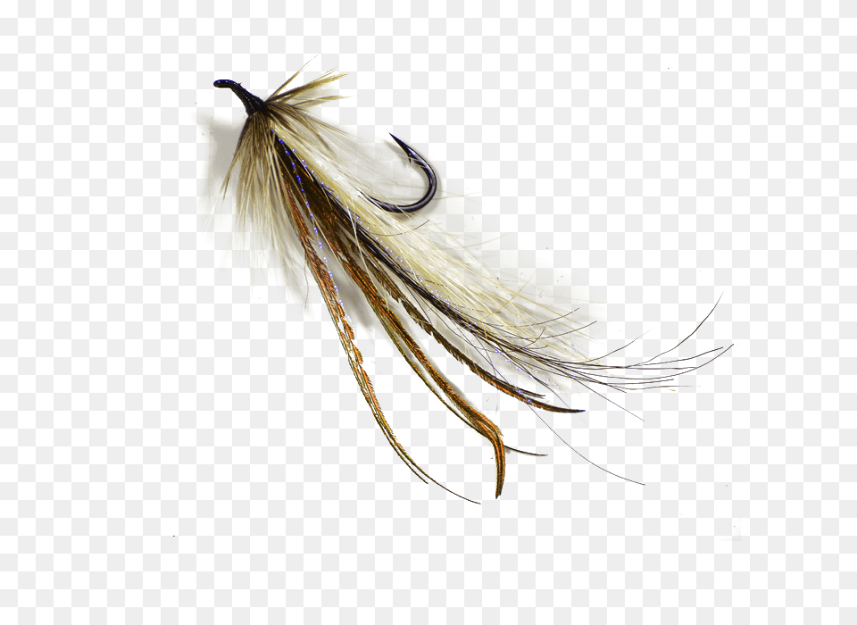 Fish Fly, Fishing Lure, Animal, Insect, Invertebrate Png