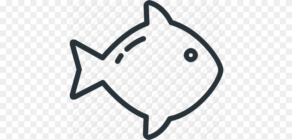 Fish Food Icon Png Image