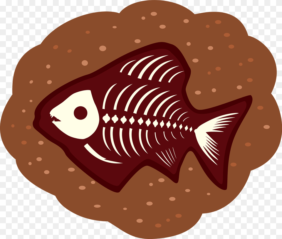 Fish Fossil Clipart, Food, Ketchup Free Png Download