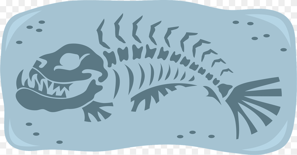 Fish Fossil Clipart, Animal, Bird Free Png