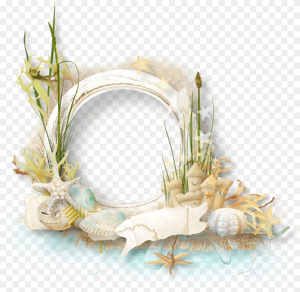 Fish Frame Transparent Png Image